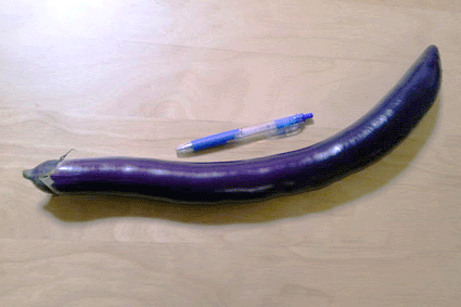 ラッピング協会,ブログ,画像