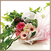 �ե���åԥ󥰥ե��������å׹ֺ¡ڥ�åԥ󥰶����